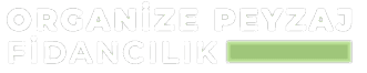 Organize Peyzaj, Kayseri Peyzaj, Peyzaj Firmaları